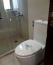 Nassim Regency (D10), Condominium #597111691